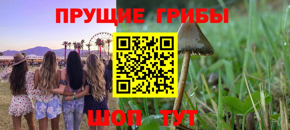 Галлюциногенные грибы мухоморы  Вход с VPN  Печора  Псилоцибиновые грибы Magic Shrooms 