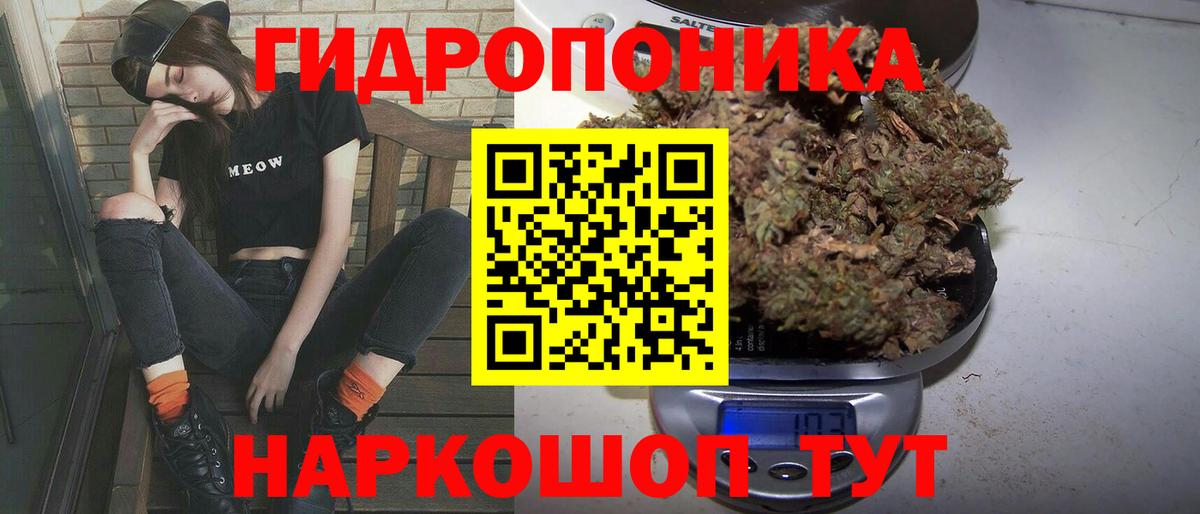 Конопля AK-47 Печора